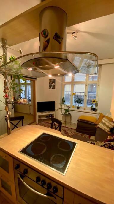 Lovely Apartment In The Centre, Street Level And Inner Yard Helsinki Exterior photo